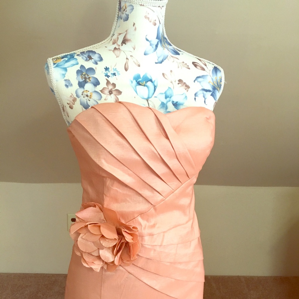 Daisy pearl pink maxi dress